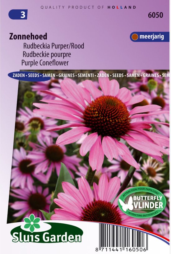 Sluis Garden - Zonnehoed purpurea (Echinacea)