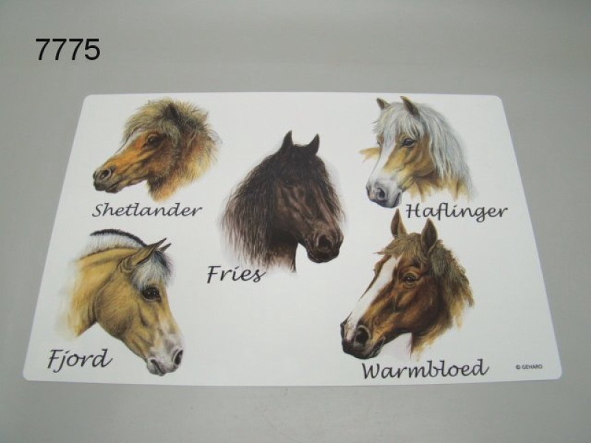 Placemat Paarden – 41 x 29 cm – Afwasbaar – Paardenrassen