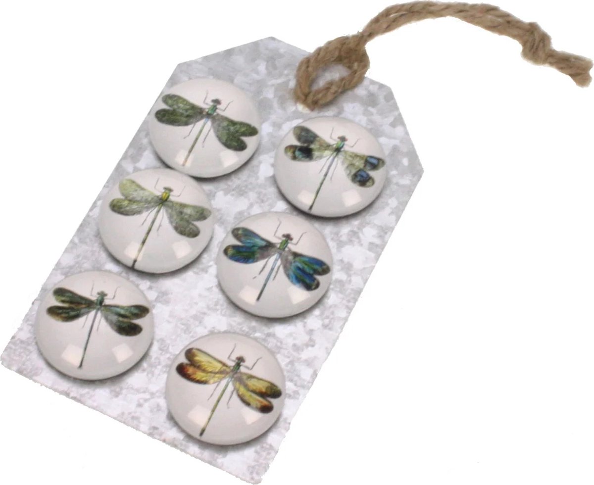 Magneetjes Libelle Set/6 Ø3,5cm