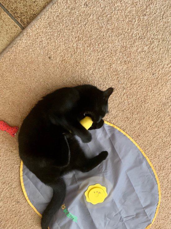 Yeowww! Banaan Kicker - Catnip Kattenkruid Speeltje voor Katten - Geel - 18 cm