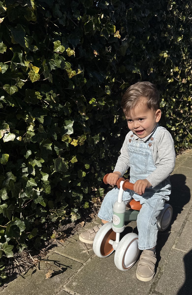 Liefjes & Co Loopfiets / Driewieler vanaf 1 Jaar Mint Groen — afbeelding 2