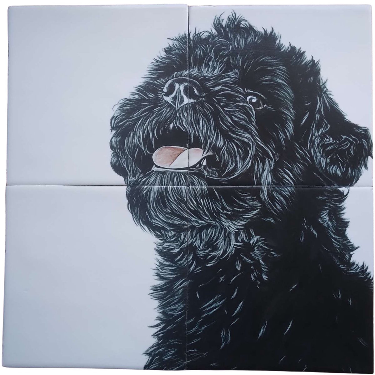 MadDeco Nederlands fabrikaat Bouvier des Flandres pup op plateau van 4 tegels Friese Witjes 13 x 13 cm per tegel