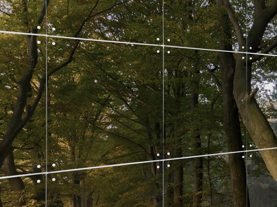 IXXI Autumn Forest Lane, Claire Droppert - 80 x 60 cm - Support d'accrochage gratuit - Grande décoration murale et posters - Réalisme, Photographie, Naturalisme