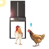 Kippenluik - automatische kippendeur - timer - batterijen - zwart