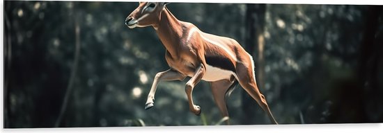 Dibond - Antilope Springend door het Bos - 120x40 cm Foto op Aluminium (Wanddecoratie van metaal)