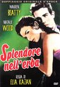 Splendor in the Grass [DVD]