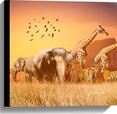 Canvas - De Dieren van het Afrikaanse Landschap - 40x40 cm Foto op Canvas Schilderij (Wanddecoratie op Canvas)