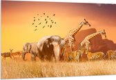 Acrylglas - De Dieren van het Afrikaanse Landschap - 150x100 cm Foto op Acrylglas (Wanddecoratie op Acrylaat)