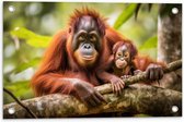 Tuinposter – Orang Oetan Aap met Baby zittend bij Takken - 60x40 cm Foto op Tuinposter (wanddecoratie voor buiten en binnen)