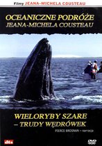 The Gray Whale Obstacle Course [DVD]
