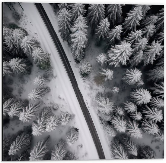 Dibond - Bovenaanzicht van Pad tussen Twee Bossen bedekt met Sneeuw (Zwart-wit) - 50x50 cm Foto op Aluminium (Met Ophangsysteem)