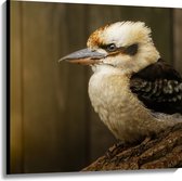 Canvas - Zijaanzicht van Lachende Kookaburra Vogel op Boomstronk - 100x100 cm Foto op Canvas Schilderij (Wanddecoratie op Canvas)