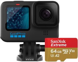 GoPro HERO11 Black Professional Bundle