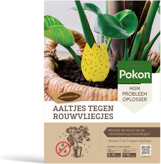 Pokon Bio Vangplaatjes tegen Rouwvliegjes 15st. kopen? - tuincentrum