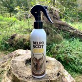 Belpo Scot Leather Cleaner
