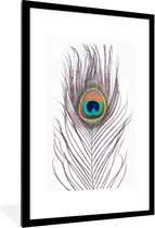 Fotolijst incl. Poster - Pauwenveren - Blauw - Veer - Pauw - Dieren - 80x120 cm - Posterlijst