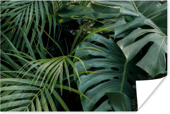 Poster Planten - Jungle - Bladeren - Tropisch - 120x80 cm - Kerstversiering - Kerstdecoratie voor binnen - Kerstmis