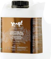 Yuup! - Oatmeal Shampoo - 5 Liter - (vegan friendly)