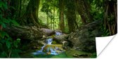 Poster Jungle - Stenen - Water - Natuur - Planten - 150x75 cm - Kerstversiering - Kerstdecoratie voor binnen - Kerstmis