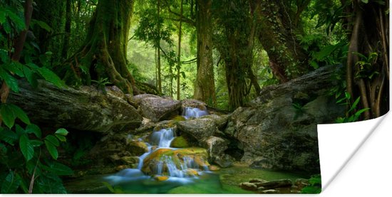 Een poster met een waterval in een weelderig, groen regenwoud met rotsen en varens.