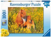 Ravensburger puzzel Shetland Pony's - Legpuzzel - 100XXL stukjes