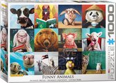 Puzzle 1000 pièces - Animaux Funny - L. Heffernan