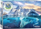 Eurographics safe the planet Artic puzzel 1000