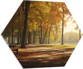 PVC Schuimplaat Hexagon - Bomen - Bankje - Park - Bladeren - 80x69.6 cm Foto op Hexagon (Met Ophangsysteem)