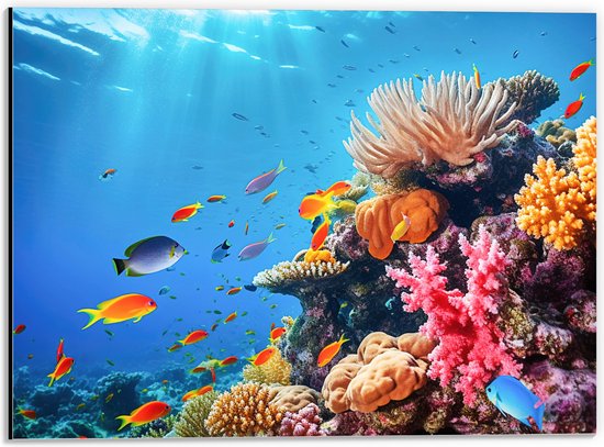 Dibond - Felkleurige Koraal Omringd door Tropische Vissen op Zeebodem - 40x30 cm Foto op Aluminium (Wanddecoratie van metaal)