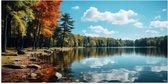 Poster (Mat) - Bomen - Bos - Meer - Water - Kleuren - 100x50 cm Foto op Posterpapier met een Matte look