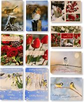 Cards & Crafts 50 Kerst- en Nieuwjaarskaarten met Pen - 9,5x14cm - 10 x 5 dubbele kaarten met enveloppen - serie Snow