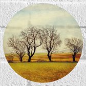 Muursticker Cirkel - Groepje Kale Bomen in het Veld - 20x20 cm Foto op Muursticker