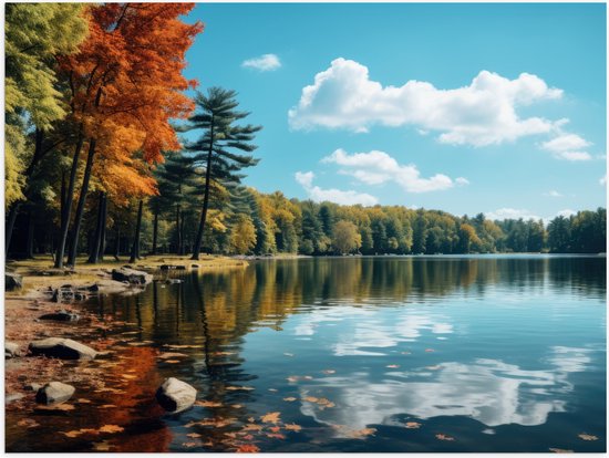 Poster (Mat) - Bomen - Bos - Meer - Water - Kleuren - 80x60 cm Foto op Posterpapier met een Matte look
