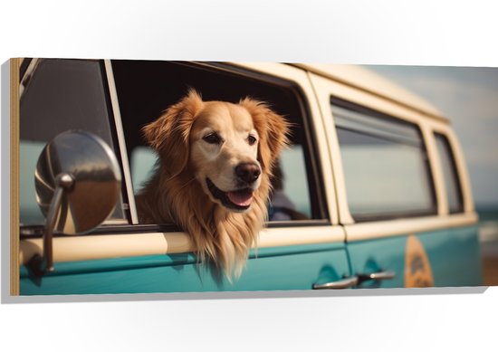 Hout - Golden Retriever Hond uit Raam van Blauw Busje - 100x50 cm - 9 mm dik - Foto op Hout (Met Ophangsysteem)