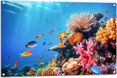 Tuinposter – Felkleurige Koraal Omringd door Tropische Vissen op Zeebodem - 105x70 cm Foto op Tuinposter (wanddecoratie voor buiten en binnen)