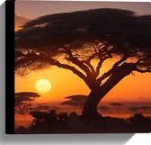 Canvas - Silhouet van Grote Acacia Boom op Savanne tijdens Zonsondergang - 30x30 cm Foto op Canvas Schilderij (Wanddecoratie op Canvas)