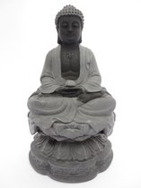 Tibetaanse Boeddha Hematiet - Meditatie