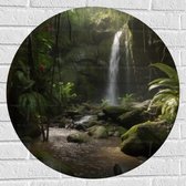 Muursticker Cirkel - Kleine Waterval tussen de Bladeren in het Bos - 70x70 cm Foto op Muursticker