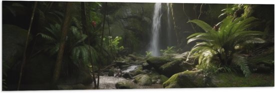 Een panoramisch schilderij toont een kleine waterval die tussen varens en mosbegroeide rotsen stroomt. Het bos is dichtbegroeid met weelderige groene bladeren en schaduwen.