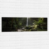 Muursticker - Kleine Waterval tussen de Bladeren in het Bos - 120x40 cm Foto op Muursticker