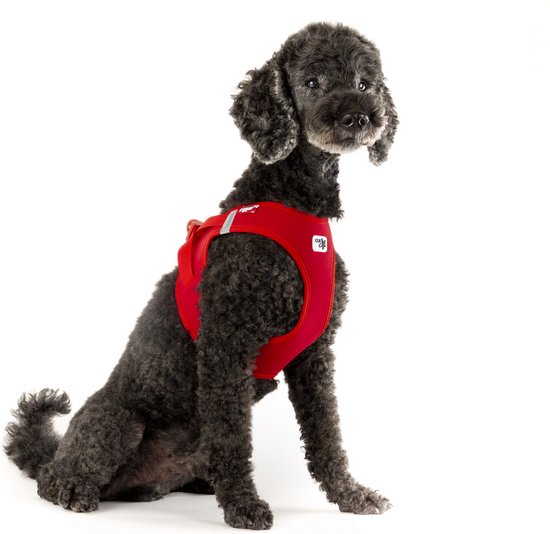 Harnais Curli Vest Clasp Air-Mesh rouge pour chien