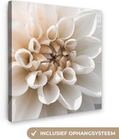 Tableau sur toile 50x50 cm - Décoration murale Fleurs - Wit - Nature - Décoration murale salon - Décoration chambre - Accessoires chambre - Peintures