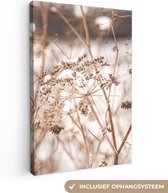 Canvas Schilderij Droogbloemen - Wit - Planten - 20x30 cm - Wanddecoratie