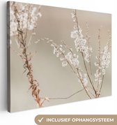 Canvas Schilderij Bloemen - Wit - Planten - 40x30 cm - Wanddecoratie