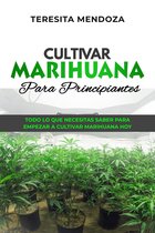 Cultivar Marihuana Para Principiantes