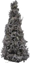 Couronne - Boompje van bonsai 'Moss' (White wash, 50cm)
