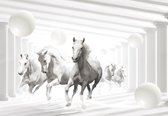 Fotobehang - Vlies Behang - Witte Paarden tusse de Pilaren uit de 3D Tunnel - 208 x 146 cm