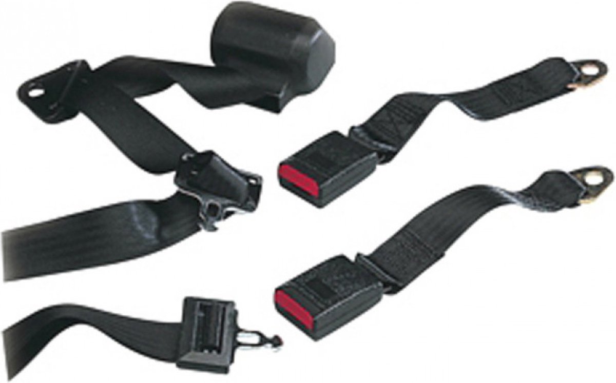 Ceinture de sécurité pour voiture pour chiens avec adaptateur pour boucle  de ceinture et Isofix
