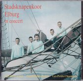 Stadsknapenkoor Elburg in Concert - Stadsknapenkoor Elburg o.l.v. Pieter Jan Leusink - Dick Sanderman bespeelt het orgel