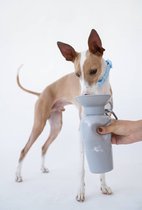 Springer - Classic waterfles voor honden - Grijs - Drinkfles voor honden - Benodigdheden voor dieren